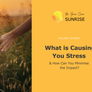 What is Causing You Stress & How Can You Minimise the Impact